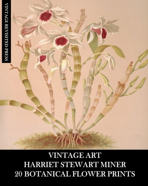 Vintage Art: Harriet Stewart Miner: 20 Botanical Flower Prints: Orchid Ephemera for Framing, Home Decor and Collages - Vintage Revisited Press - Books - Blurb - 9798210337481 - August 23, 2024