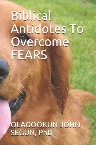 Cover for Olagookun John Segun · Biblical Antidotes To Overcome Fears (Paperback Book) (2021)