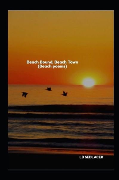 Beach Bound, Beach Town - LB Sedlacek - Bøger - Independently Published - 9798657295481 - 26. juni 2020