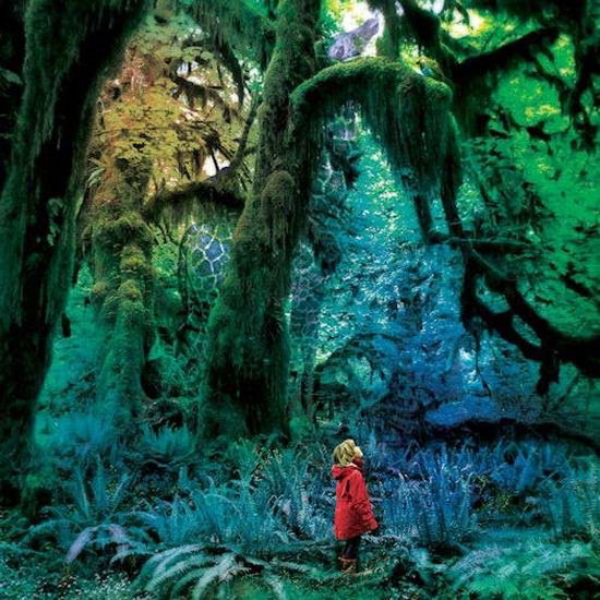 Cabinet Of Curiosities - Jacco Gardner - Music - TROUBLE IN MIND - 0700371264482 - March 16, 2018