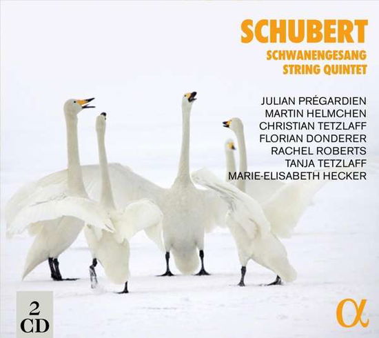 Cover for Julian Pregardien · Schubert: Schwanengesang &amp; String Quintet (CD) (2021)