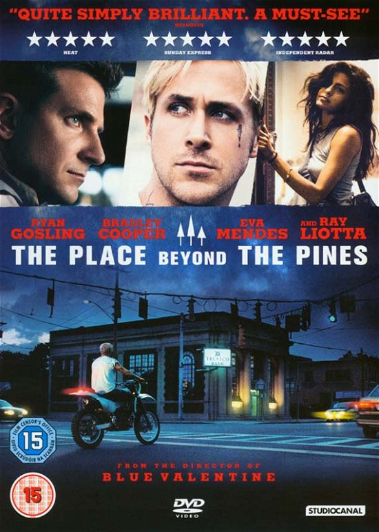 Cover for Place Beyond the Pines the · The Place Beyond The Pines (DVD) (2013)