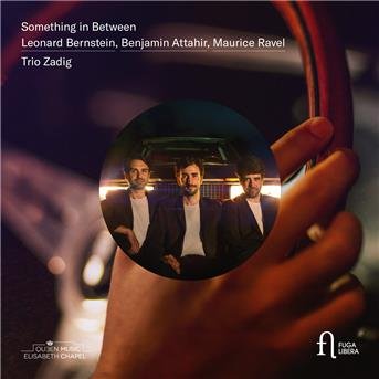 Cover for Trio Zadig · Something In Between (CD) (2019)