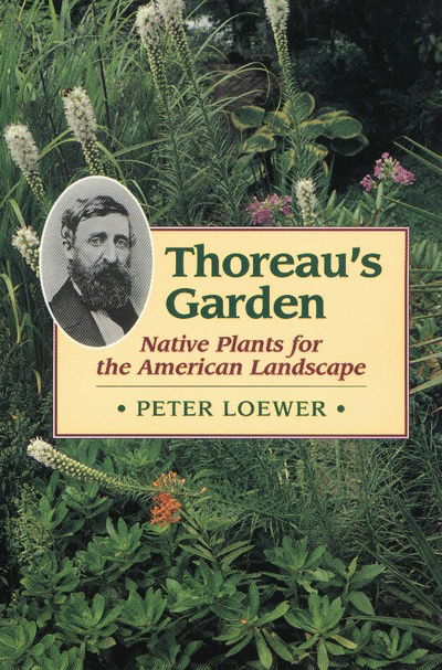 Thoreau's Garden: Native Plants for the American Landscape - Peter Loewer - Books - Stackpole Books,U.S. - 9780811729482 - April 1, 2002