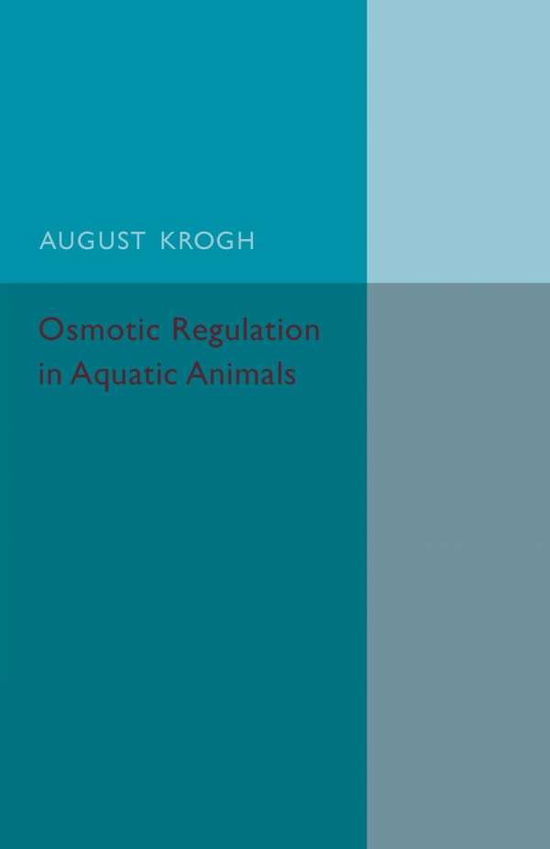 Osmotic Regulation in Aquatic Animals - August Krogh - Böcker - Cambridge University Press - 9781107502482 - 21 maj 2015