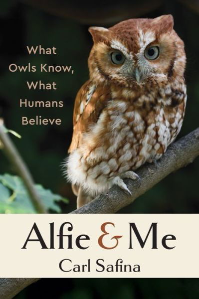 Cover for Carl Safina · Alfie and Me: What Owls Know, What Humans Believe (Paperback Book) (2025)