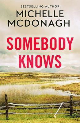 Cover for Michelle McDonagh · Somebody Knows: A gripping, addictive page-turner about dangerous secrets and the lengths people will go to keep them (Paperback Book) (2024)