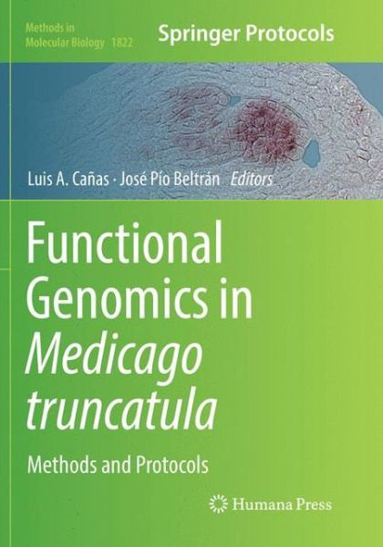 Cover for Functional Genomics in Medicago truncatula (Book) [Softcover reprint of the original 1st ed. 2018 edition] (2019)