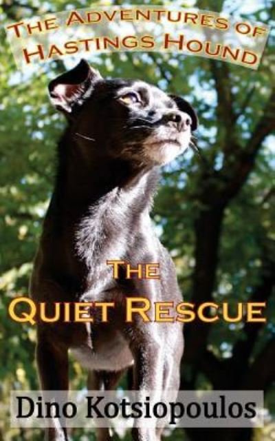 The Quiet Rescue - Dino Kotsiopoulos - Kirjat - Createspace Independent Publishing Platf - 9781518832482 - torstai 3. joulukuuta 2015