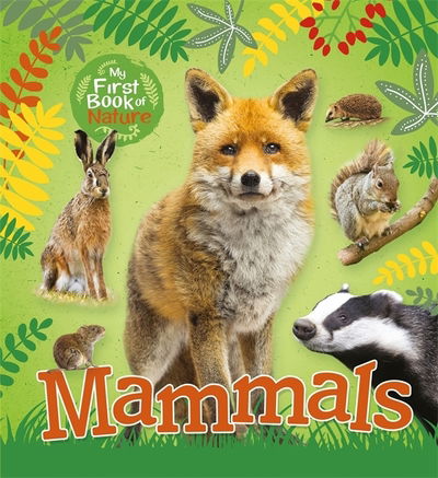 Cover for Victoria Munson · My First Book of Nature: Mammals - My First Book of Nature (Paperback Book) (2019)