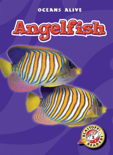 Cover for Colleen Sexton · Angelfish (Blastoff! Readers: Oceans Alive) (Hardcover Book) (2009)