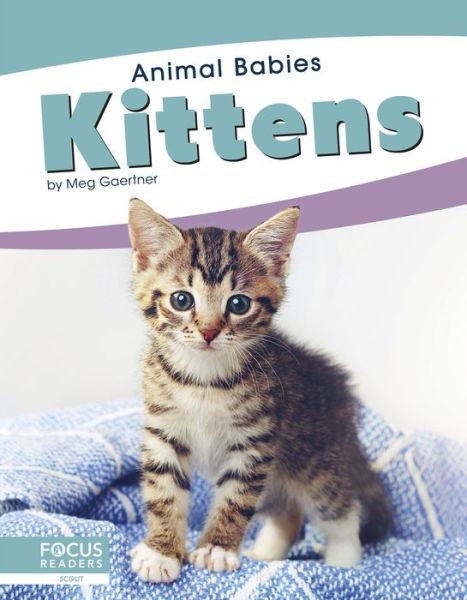 Kittens - Animal Babies - Meg Gaertner - Livros - North Star Editions - 9781641857482 - 1 de agosto de 2019