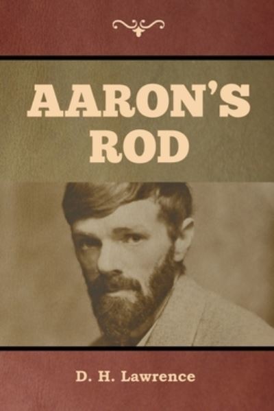 Cover for D H Lawrence · Aaron's Rod (Pocketbok) (2020)