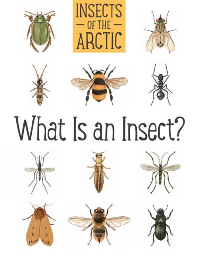 Cover for Carolyn Mallory · Insects of the Arctic: What Is an Insect?: English Edition - Nunavummi Reading Series (Paperback Book) [English edition] (2017)