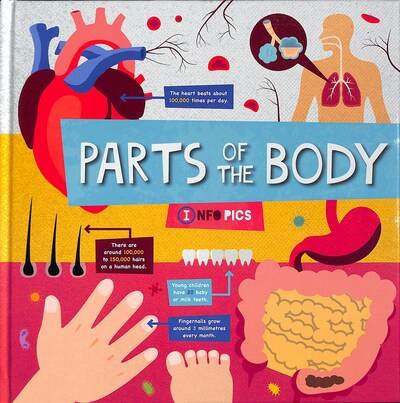 Cover for Harriet Brundle · Parts of the Body - InfoPics (Gebundenes Buch) (2020)