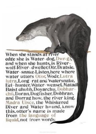 The Jackie Morris Poster: Names of the Otter - Jackie Morris - Koopwaar - Graffeg Limited - 9781912654482 - 17 juli 2018