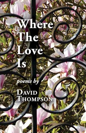 Cover for David Thompson · Where the Love Is (Buch) (2023)