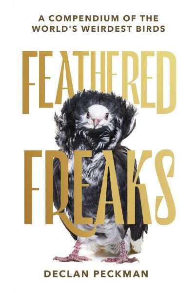 Cover for Declan Peckman · Feathered Freaks: A compendium of the world’s weirdest birds (Innbunden bok) (2024)