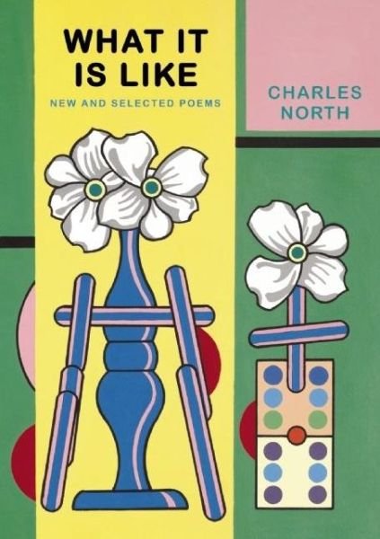 Cover for Charles North · What It Is Like: New and Selected Poems (Paperback Book) (2011)