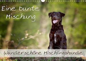 Cover for Noack · Eine bunte Mischung - wunderschön (Book)