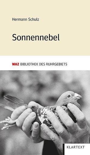 Cover for Hermann Schulz · Sonnennebel (Innbunden bok) (2021)