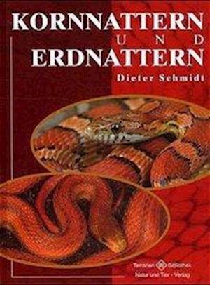 Kornnattern und Erdnattern - Dieter Schmidt - Bücher - NTV Natur und Tier-Verlag - 9783931587482 - 1. Dezember 2000