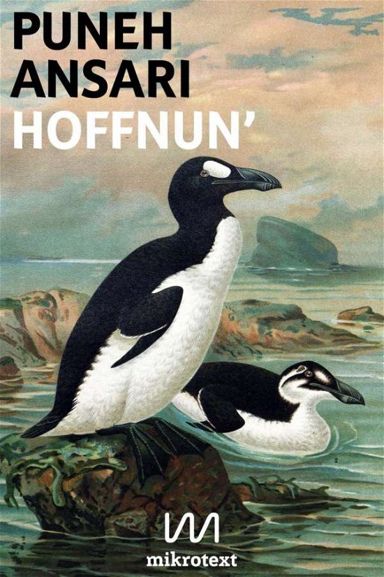 Cover for Ansari · Hoffnun' (Bog)