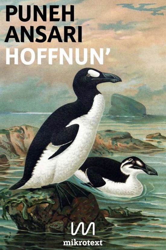 Cover for Ansari · Hoffnun' (Bok)