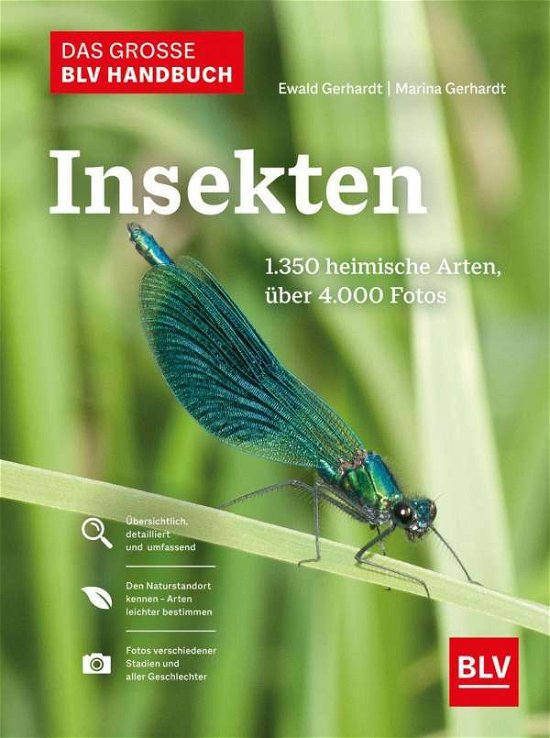 Cover for Gerhardt · Das große BLV Handbuch Insekte (Bok)
