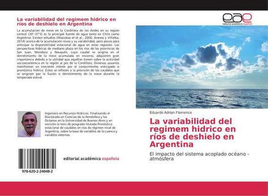 Cover for Flamenco · La variabilidad del regimem hi (Book)