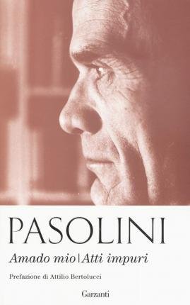 Cover for Pier Paolo Pasolini · Amado Mio-Atti Impuri (Bok)