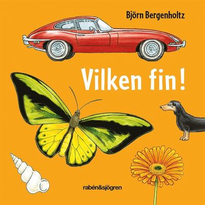 Vilken fin! - Björn Bergenholtz - Kirjat - Rabén & Sjögren - 9789129719482 - perjantai 22. maaliskuuta 2019