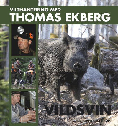 Vilthantering med Thomas Ekberg: Vilthantering med Thomas Ekberg : vildsvin - Thomas Ekberg - Books - Bokförlaget Settern - 9789175866482 - November 4, 2014