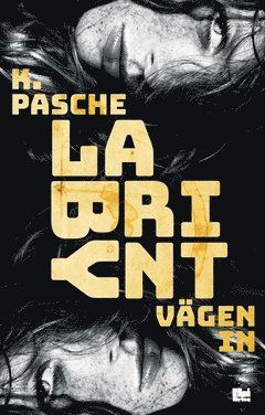 Cover for Karin Pasche · Labyrint. Vägen in (Paperback Book) (2017)