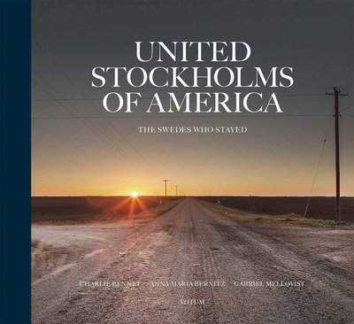 Cover for Anna Maria Bernitz · United Stockholms of America : The Swedes who stayed (Gebundesens Buch) (2014)