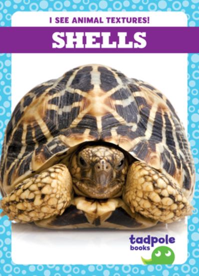 Shells - Gleisner - Books - Jump! Incorporated - 9798885240482 - 2023