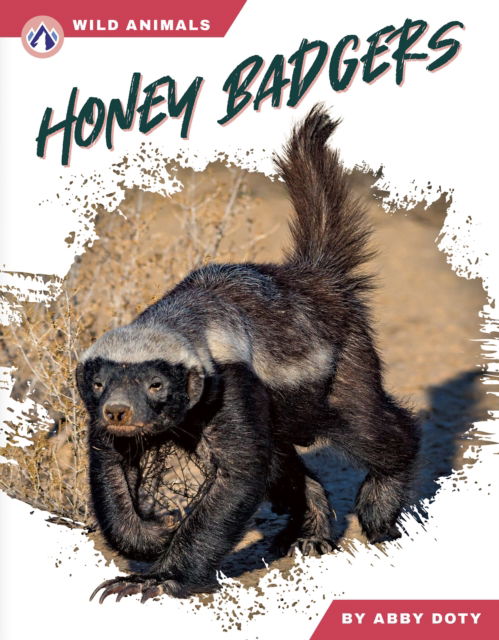 Cover for Dalton Rains · Honey Badgers - Wild Animals Set 2 (Hardcover Book) (2025)