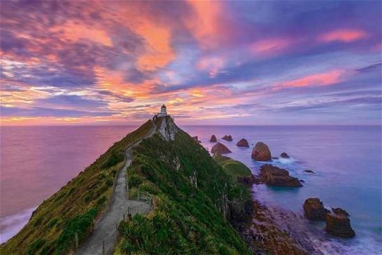 Cover for Gray · Nugget Point Lighthouse, The.59348 (Bog) (2017)