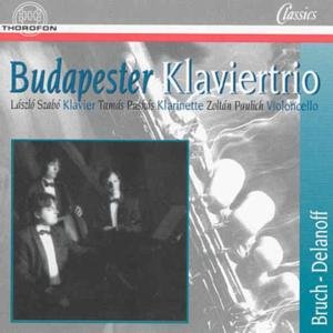 Cover for Bruch / Budapest Piano Trio · Piano Trios (CD) (1995)