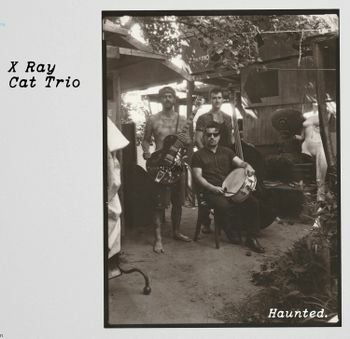 Cover for X-ray Cat Trio · Haunted (CD) (2022)