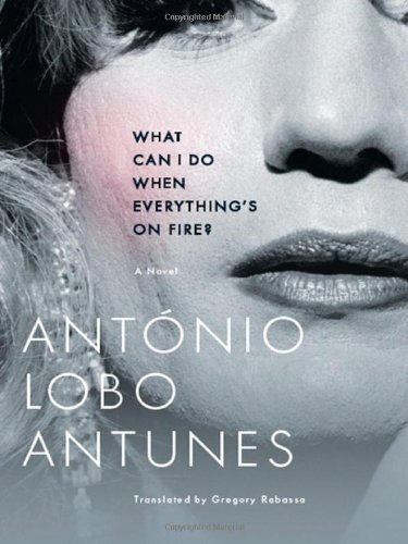 Cover for Antonio Lobo · What Can I Do When Everything's on Fire?: A Novel (Pocketbok) (2008)