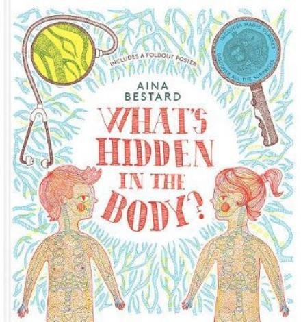 Cover for Aina Bestard · What's Hidden In The Body? - What’s Hidden? (Innbunden bok) (2017)