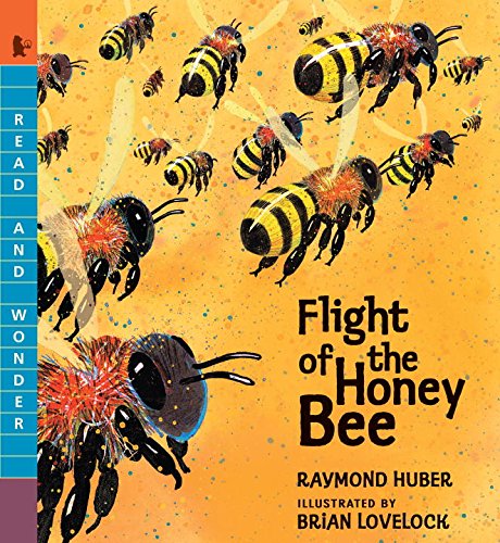 Cover for Raymond Huber · Flight of the Honey Bee (Read and Wonder) (Paperback Book) (2015)