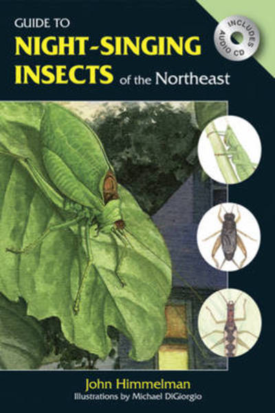 Cover for John Himmelman · Guide to Night-Singing Insects: of the Northeast (Paperback Book) (2009)