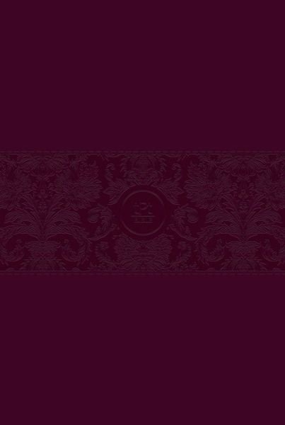 Cover for Brian Dr Simmons · The Passion Translation New Testament with Psalms Proverbs and Song of Songs (2020 Edn) Large Print Burgundy Faux Leather (Bok) [Large type / large print edition] (2020)