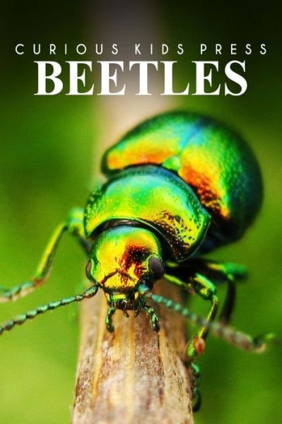 Cover for Curious Kids Press · Beetles - Curious Kids Press: Kids Book About Animals and Wildlife, Children's Books 4-6 (Paperback Book) (2014)