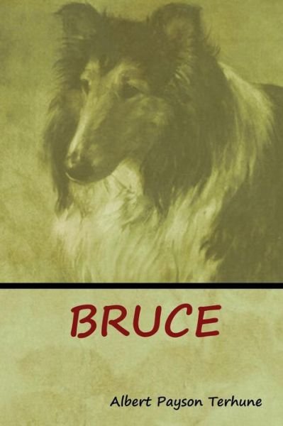 Cover for Albert Payson Terhune · Bruce (Paperback Book) (2018)