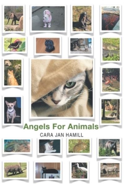 Cover for Cara Jan Hamill · Angels for Animals (Paperback Book) (2021)