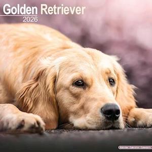 Cover for Golden Retriever Calendar 2026  Square Dog Breed Wall Calendar - 16 Month (Calendar) (2025)