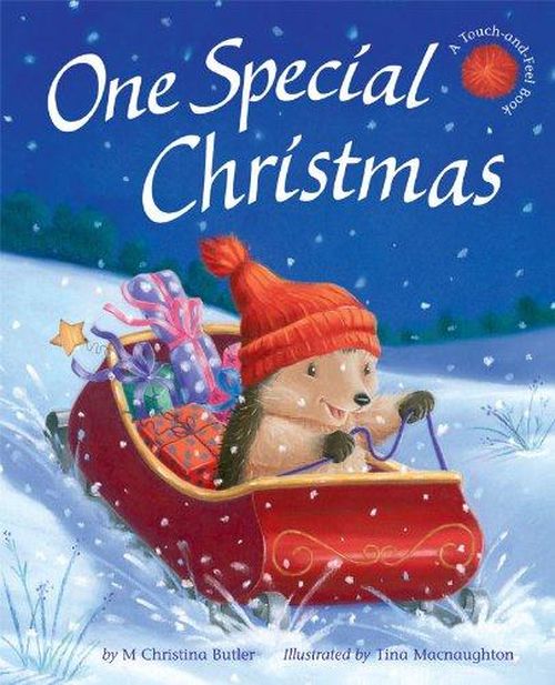 One Special Christmas - Little Hedgehog - M Christina Butler - Kirjat - Little Tiger Press Group - 9781848956483 - maanantai 1. syyskuuta 2014